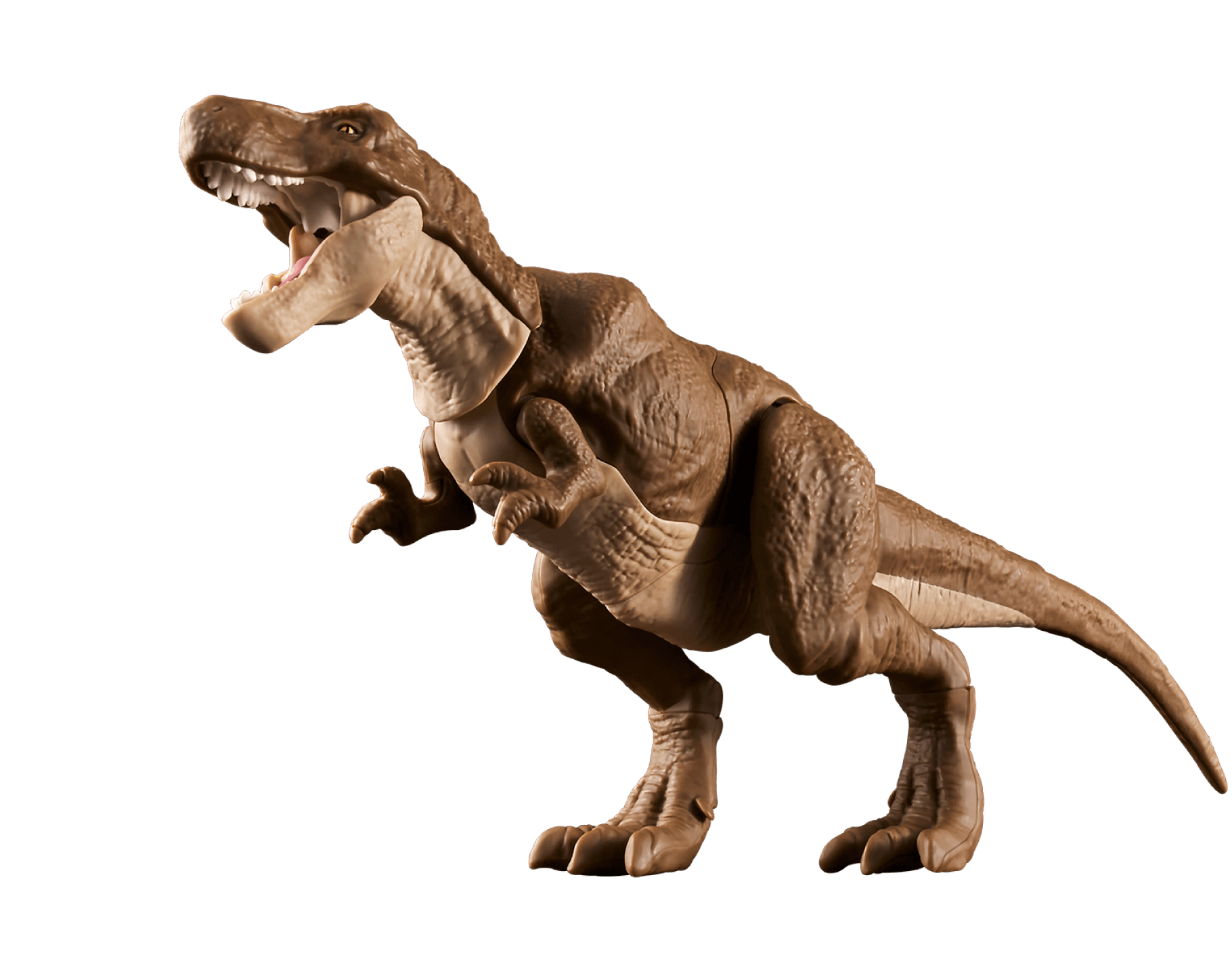 Tyrannosaurus
