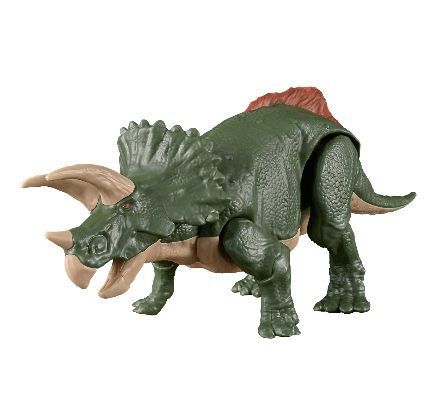Triceratops